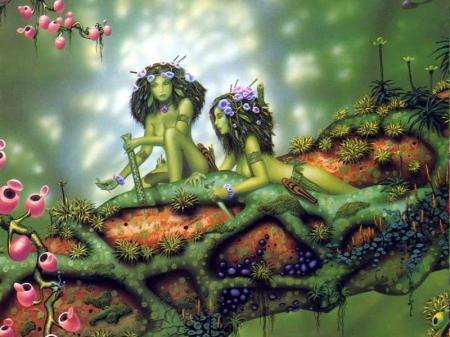 Astrologie des arbres